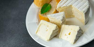 Envejecido país queso suave queso blanco molde cremoso gusto comiendo Cocinando aperitivo comida comida bocadillo en el mesa Copiar espacio comida antecedentes rústico parte superior ver foto