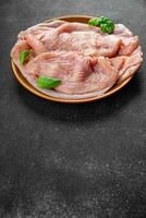 raw turkey meat fillet slice fresh poultry meat healthy eating cooking meal food snack on the table copy space food background rustic top view photo