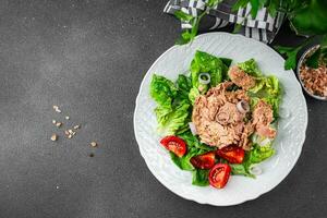 salad canned tuna delicious healthy eating cooking appetizer meal Pescetarian food snack on the table copy space photo