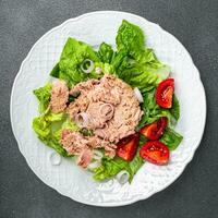 tuna salad fresh meal tuna canned eating cooking appetizer food snack on the table copy space food photo