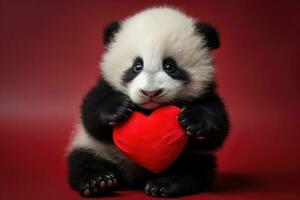 linda panda oso con rojo corazón en un rojo antecedentes. adorable recién nacido panda participación rojo corazón San Valentín día, HDR, ai generado foto
