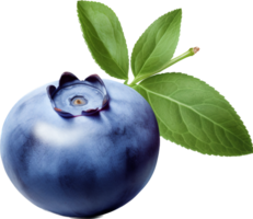 Blueberry png with AI generated.