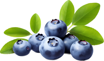 Blueberry png with AI generated.