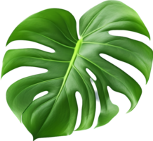 monstera png con ai generado.