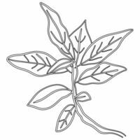 Leaves drawing line decoration design. photo