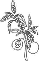 Branch with lichens and berries drawing line decoration design. vector