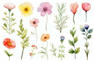 Aigenerated watercolor set of wild beautiful flowers, plant illustrations, decor for holidays, botanical arrangements and weddings. photo