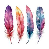 Ai generated watercolor multicolored rich bright feathers, dream catcher, isolated feather for different designs. photo