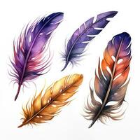 Ai generated watercolor multicolored rich bright feathers, dream catcher, isolated feather for different designs. photo
