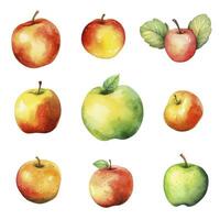 ai generado conjunto de vistoso acuarela manzanas, verde y rojo, frutas aislado en blanco antecedentes. foto