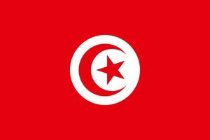 el oficial Actual bandera de tunecino república. estado bandera de Túnez. ilustración. foto