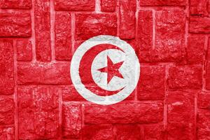 Flag of Tunisian Republic on a textured background. Concept collage. photo