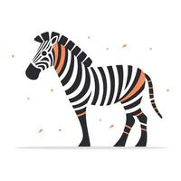 Zebra. Vector illustration. Isolated on a white background.