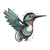 Vector image of a hummingbird on white background. Hand drawn vector illustration.