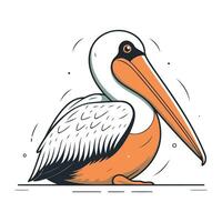 Pelican isolated on white background. Hand drawn vector illustration.