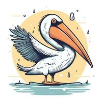 Pelican vector illustration. Hand drawn sketch of pelican.