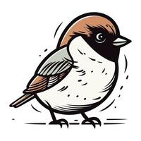 Vector illustration of a sparrow isolated on a white background. Hand drawing.