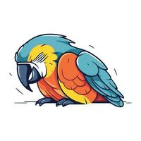 Colorful macaw parrot isolated on white background. Vector illustration.