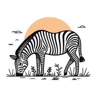 Zebra on the savanna. Vector illustration in flat style.