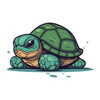 Cartoon turtle. Vector illustration isolated on white background. Cute cartoon turtle.