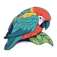 Colorful parrot isolated on a white background. Vector illustration.