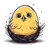Vector hand drawn illustration of a cute little chick in the nest.
