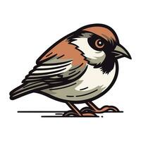 Sparrow isolated on white background. Hand drawn vector illustration.