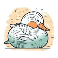 Vector illustration of a cute cartoon white duck on a white background.