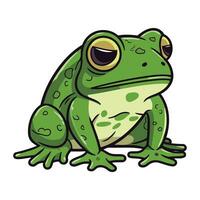 Frog isolated on white background. Vector illustration. Eps 10.