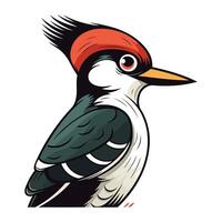 Dendrocopos major. Woodpecker. Vector illustration