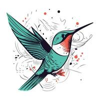 Hummingbird on a white background. Hand drawn vector illustration.