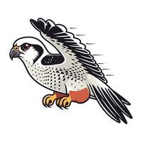 Falcon. Vector illustration of a falcon. Bird of prey.