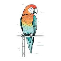 Colorful parrot sitting on a stepladder. Vector illustration