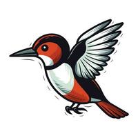 Red backed Woodpecker. Vector illustration on white background.