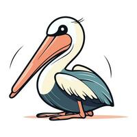 Pelican vector illustration. Cartoon pelican isolated on white background.