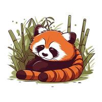 Red panda lying on bamboo. Vector illustration in cartoon style.