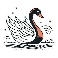 Swan in water. Hand drawn vector illustration in doodle style.