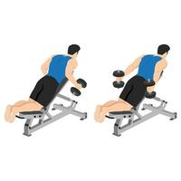 Man doing dumbbell prone incline kickbacks exercise. vector