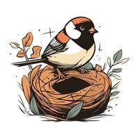 Chickadee bird in nest. Hand drawn vector illustration.