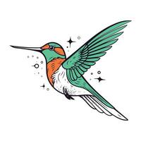 Hummingbird. Hand drawn vector illustration. Isolated on white background.