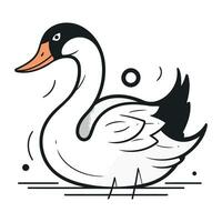 Swan on white background. Hand drawn vector illustration in doodle style.