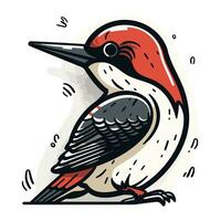 Hand drawn vector illustration of a red bellied woodpecker