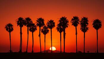 dramático palma árbol silueta de Desierto puesta de sol generativo ai foto