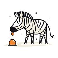 Zebra eating orange. Vector illustration in doodle style.