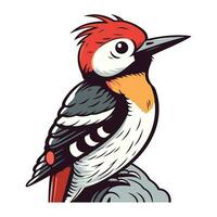 Woodpecker vector illustration isolated on white background. Woodpecker in cartoon style.