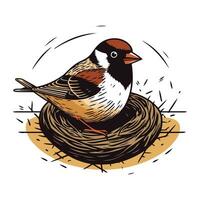 Bird in the nest. Vector illustration of a bird in a nest.