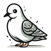 Paloma en un blanco antecedentes. vector ilustración de un pájaro.