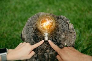 Hand holding light bulb on grass with solar energy and green background. power eco concept insun light photo