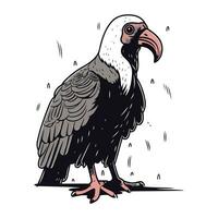 Vulture. Vector illustration of a vulture on a white background.