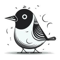 Vector illustration of a black and white bird on a white background.